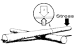 
When crosscutting logs supported on one end, make two cuts in this sequence.
